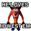 gaycrashbandicoot avatar