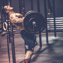 gaymalefitblr avatar