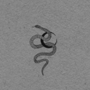 geceninhikayesi avatar