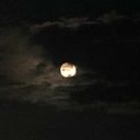 gelmemeyegidenhale avatar