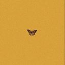 gemmafederal-blog avatar