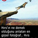 generousbouquetmakersworld avatar