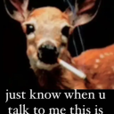 gentlehornbill avatar