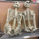 gently-morbid avatar