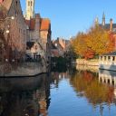 georginaheidi avatar