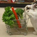 getatdat-blog avatar