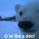 getewayraissa avatar