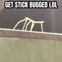 getstickbuggedlol avatar