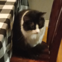 gh0st-quart3t avatar