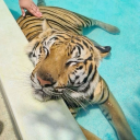 ghastlymatchmaker avatar