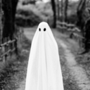 ghost-rights-activist avatar