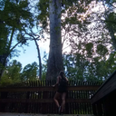 ghostbehindmyeyes avatar