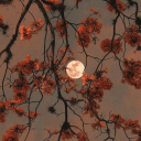 ghostlymaiden97 avatar