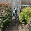 ghosts-are-people-too avatar