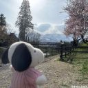 ghostsofyesterday avatar