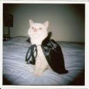 ghosttown-mp3 avatar