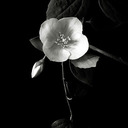 ghostwriteshere avatar