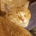 ghoul-ification avatar