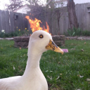 ghoulishghouls avatar