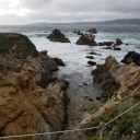 giant-thoughts-and-tiny-musings avatar