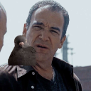 gideonspigeon avatar