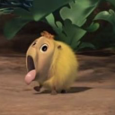 gigglecongregation avatar