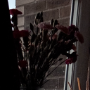 gigsandshiggles avatar