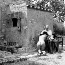 gilbertodipiento avatar