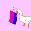 ginevrastilinski avatar