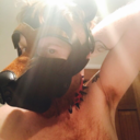 ginger-scruff-pup-blog avatar