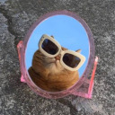 ginguh-problems avatar