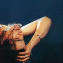 ginsengkitten avatar