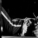 giraffesinneckties avatar