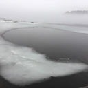 girl-with-a-lost-soul avatar