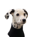 girl-with-atlas-hands avatar