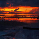 girl-with-purple-hair avatar