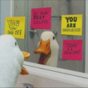 girlbossfarooqlane avatar