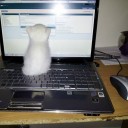 girlmadeofwires avatar