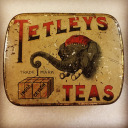 girlwithquill avatar