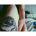 give-me-a-reason-to-staart-again avatar