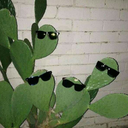 givemeveryvery avatar