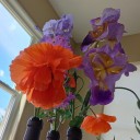 glass-expanse avatar