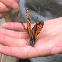 gleamglowsgraveyard avatar