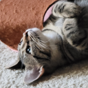 glennjaminhow avatar