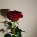 glimpseofhope9 avatar