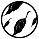 glitter-adorned avatar