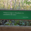 glitterandwitchcraft avatar