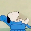 glittering-crow avatar