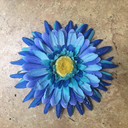 glitteringshitter avatar