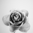 glittersoflife avatar